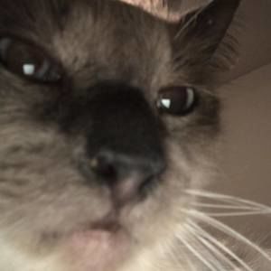 Meet your Posher, Evan